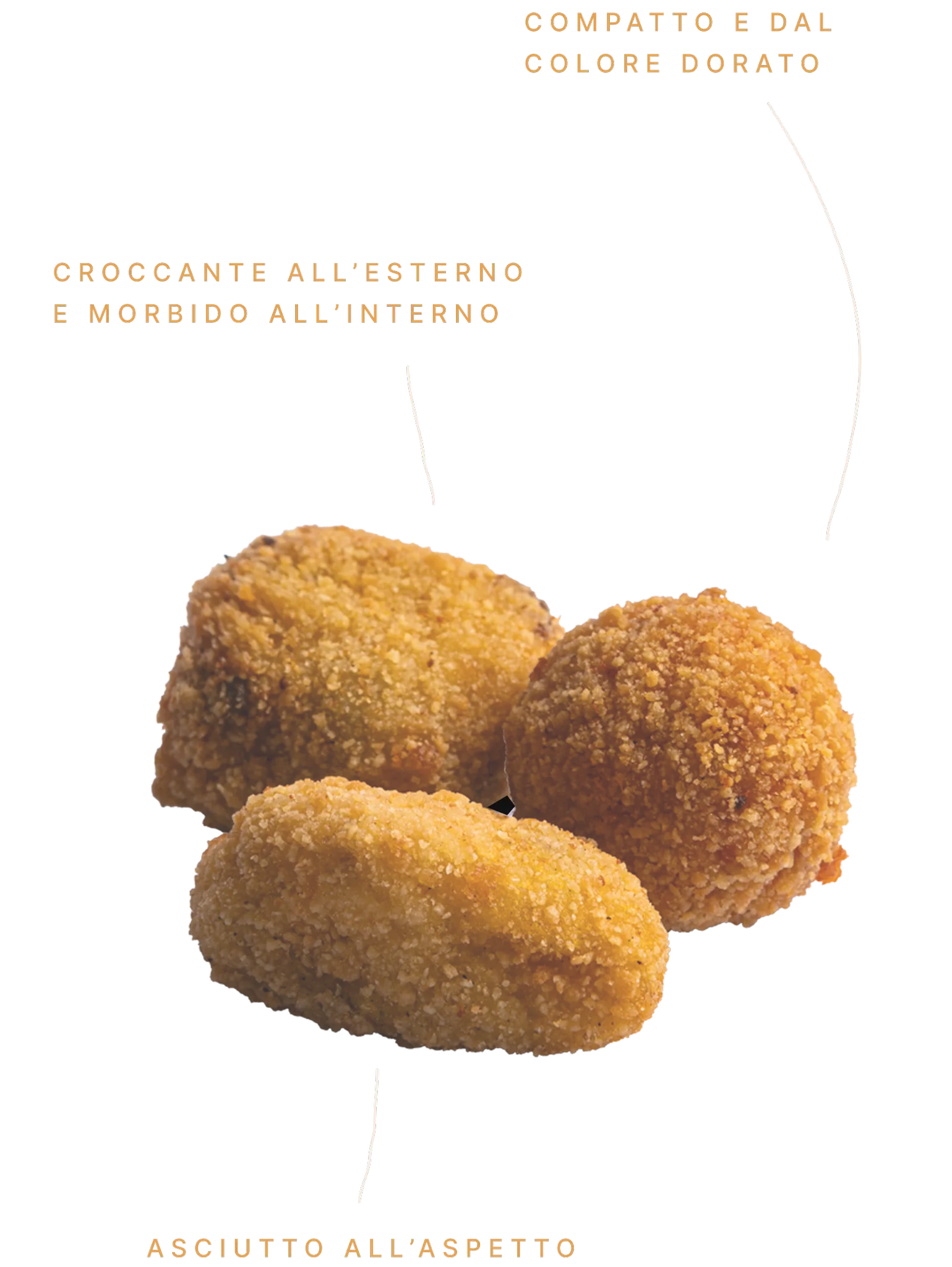 Questo è l’insieme
della nostra azienda che
ogni giorno cercheremo
di trasmetterti.