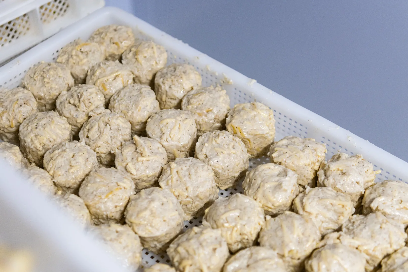 CORRETTA CONSERVAZIONE